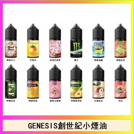 GENESIS創世紀電子煙小煙主機煙油30ml